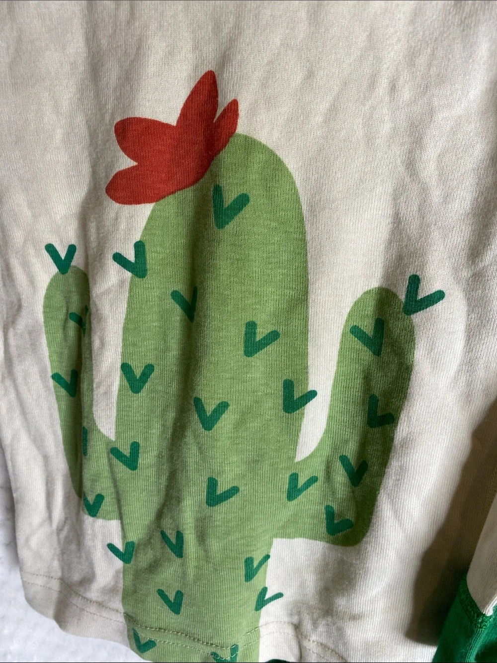 Hanna Andersson Cream Top and Green Cactus Print Pajama PJ’s Set